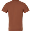 Hanes 4980 - Earth Tones - Canyon Rock Brown Back