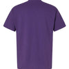 Hanes 5280 - Purples - Athletic Purple Back