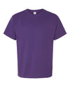 Hanes 5280 - Purples - Athletic Purple