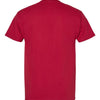 Hanes 5280 - Reds & Pinks - Athletic Crimson Back