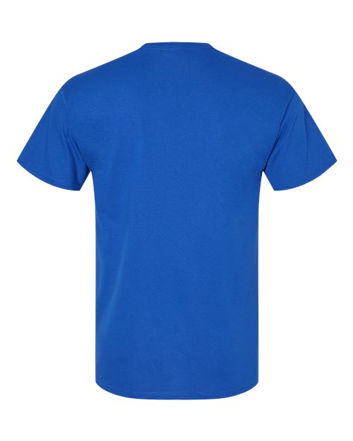 Hanes 5280 - Blues - Athletic Royal Back