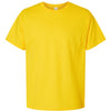 Hanes 5280 - Yellows & Oranges - Athletic Yellow