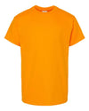 Hanes 5480 - Yellows & Oranges - Tennessee Orange
