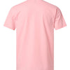 Next Level 6210 - Reds & Pinks - Heather Light Pink Back