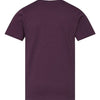 LAT 6101 - Purples - Plum Back
