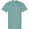 Gildan 5000 - Blues 1 - Aquatic