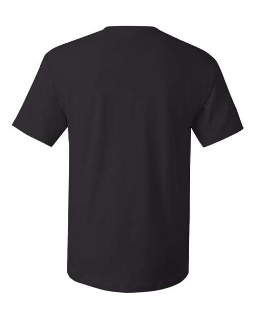 Hanes 5280 - Blacks & Grays - Black Back