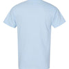 Gildan 5000 - Blues 1 - Light Blue Back