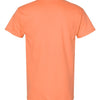 Gildan 5000 - Earth Tones - Tangerine Back