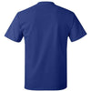 Hanes 5250 - Blues - Deep Royal Back
