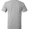 Hanes 5250 - Other Colors - Light Steel Back