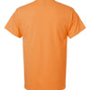 Gildan 2000 - Earth Tones - Tangerine Back