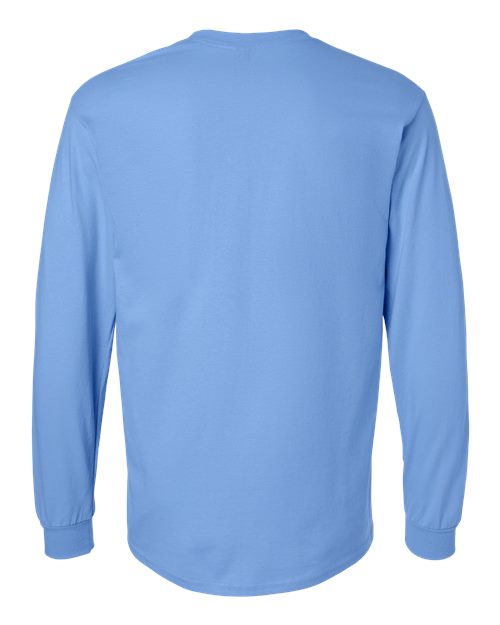 Gildan 2400 - Blues - Carolina Blue Back