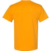 Hanes 5170 - Yellows & Oranges - Gold Back