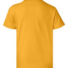 Hanes 5370 - Yellows & Oranges - Gold Back
