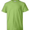 Hanes 5370 - Greens - Lime