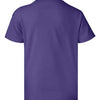 Hanes 5370 - Purples - Purple Back