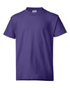 Hanes 5370 - Purples - Purple