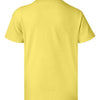 Hanes 5370 - Yellows & Oranges - Yellow Back