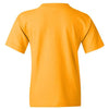 Gildan 5000B - Yellows & Oranges - Gold Back