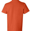 Hanes 5450 - Yellows & Oranges - Orange Back