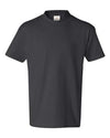 Hanes 5450 - Blacks & Grays - Smoke Grey