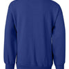 Hanes P360 - Deep Royal Back