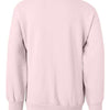 Hanes P360 - Pale Pink Back