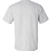 Hanes 5280 - Whites & Neutrals - Ash Back