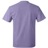 Hanes 5250 - Blues - Lavender Back