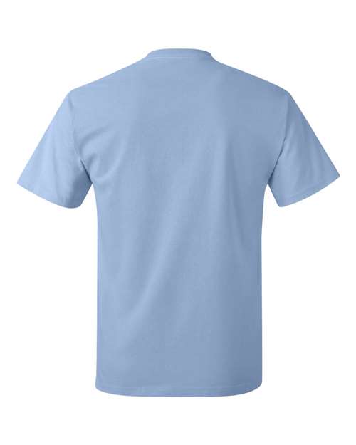 Hanes 5250 - Blues - Light Blue Back