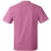 Hanes 5250 - Reds & Pinks - Pink Back