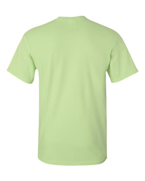 Gildan 2000 - Other Colors 1 - Pistachio Back