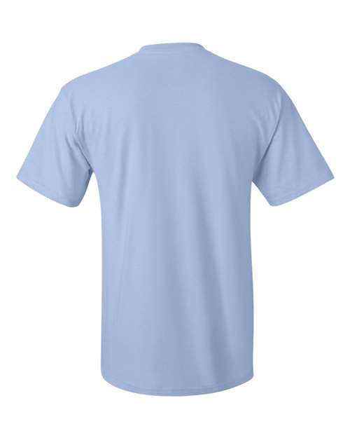 Hanes 5590 - Light Blue Back