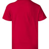 Hanes 5370 - Reds & Pinks - Deep Red Back