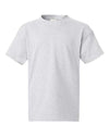 Hanes 5450 - Whites & Neutrals - Ash