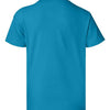 Hanes 5370 - Blues - Teal Back
