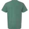 Comfort Colors 1717 - Other Colors 2 - Light Green Back