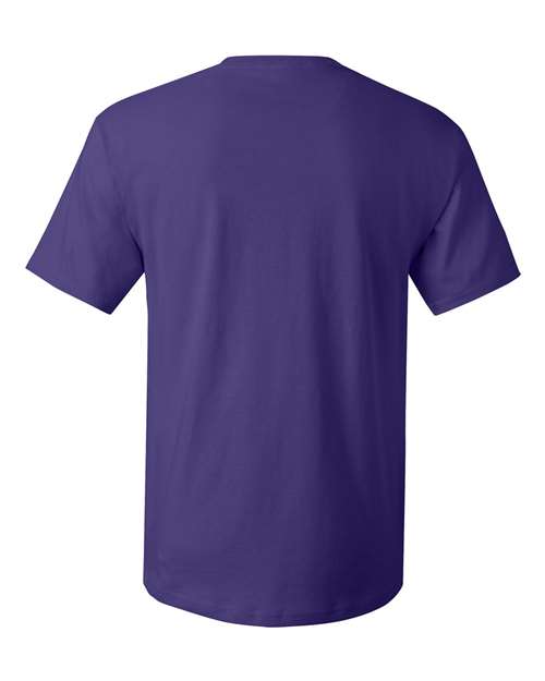 Hanes 5280 - Purples - Purple Back