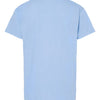 Hanes 5480 - Blues - Light Blue Back