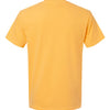 Comfort Colors 1717 - Other Colors 1 - Citrus Back