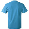 Hanes 5250 - Blues - Sapphire Back