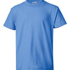 Hanes 5370 - Blues - Carolina Blue