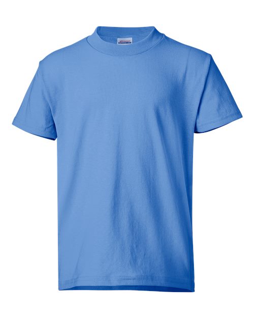 Hanes 5370 - Blues - Carolina Blue