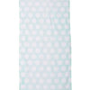 Carmel Towel Company C3060P - Light Green Back