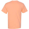 Hanes 5250 - Yellows & Oranges - Candy Orange Back