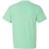 Comfort Colors 6030 - Other Colors 2 - Island Reef Back