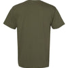 Comfort Colors 6030 - Greens - Sage Back