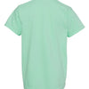 Comfort Colors 9018 - Other Colors - Island Reef Back