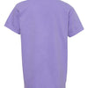 Comfort Colors 9018 - Purples - Violet Back